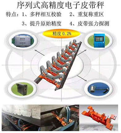 防爆皮帶秤 防爆皮帶秤的圖片